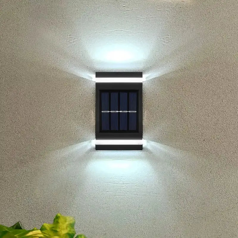 3077-15815.jpg