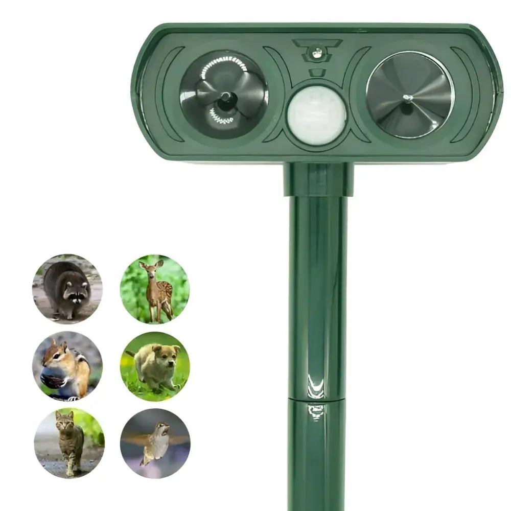 4867619c-8c3b-4a9c-8f51-07a864a34556_1