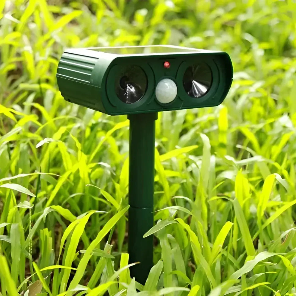 4867619c-8c3b-4a9c-8f51-07a864a34556_0