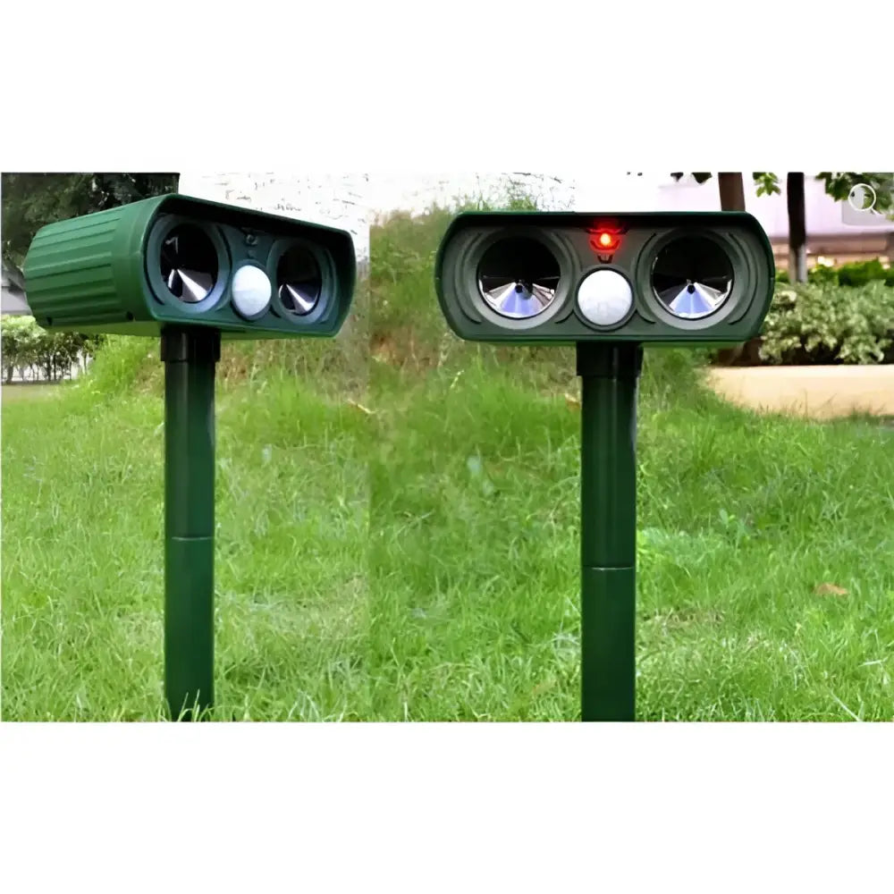 4867619c-8c3b-4a9c-8f51-07a864a34556_7