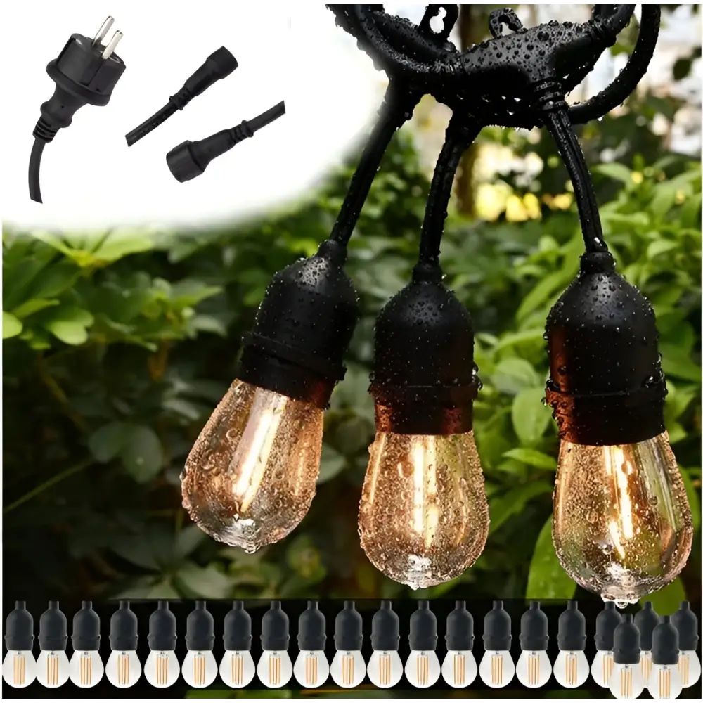 3651-19421.jpg