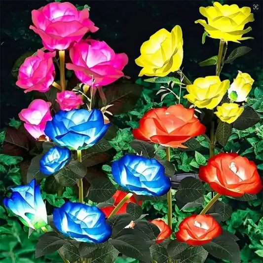 3699-19780.jpg