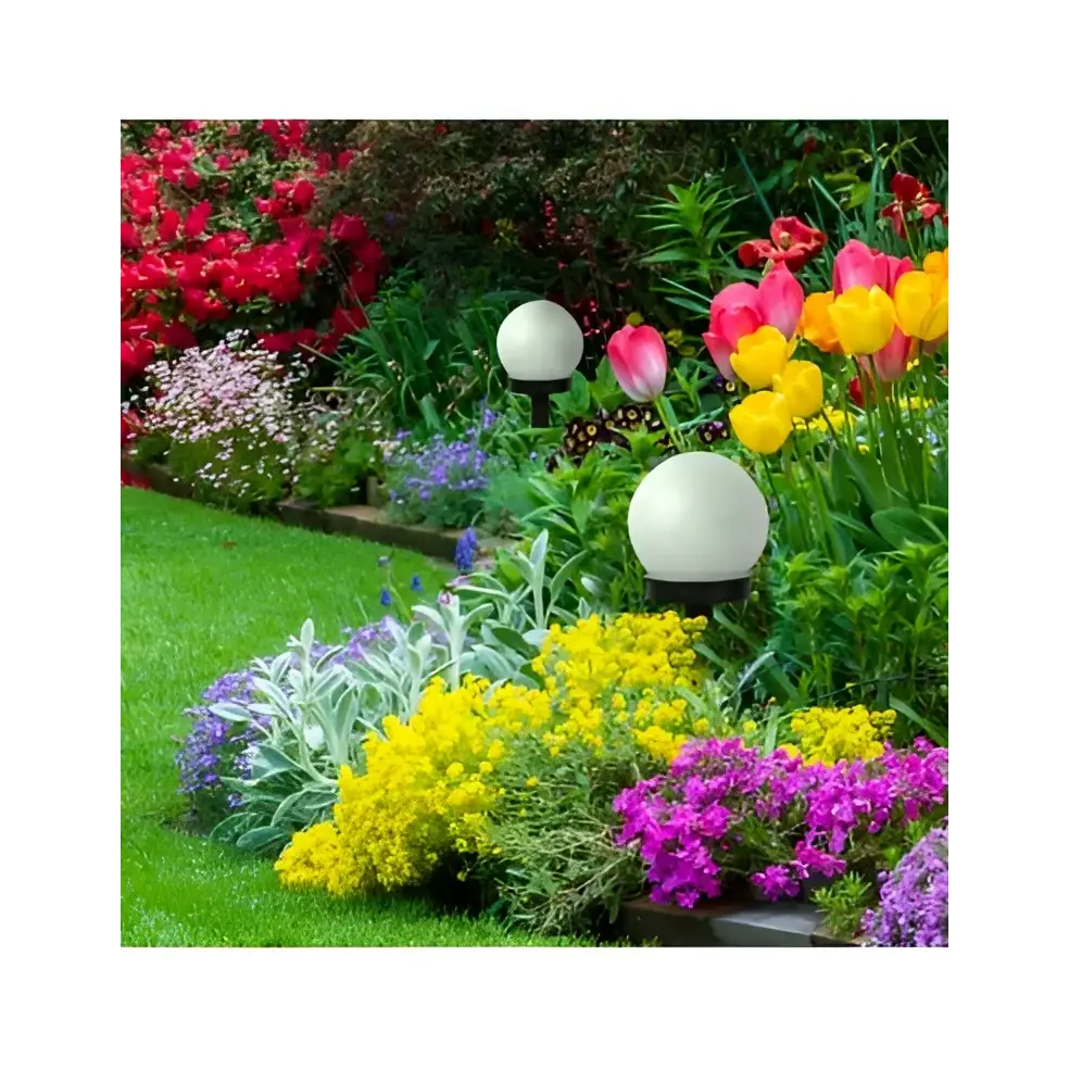 4e48f159-5e62-432a-a554-6dc1515a2c73_5