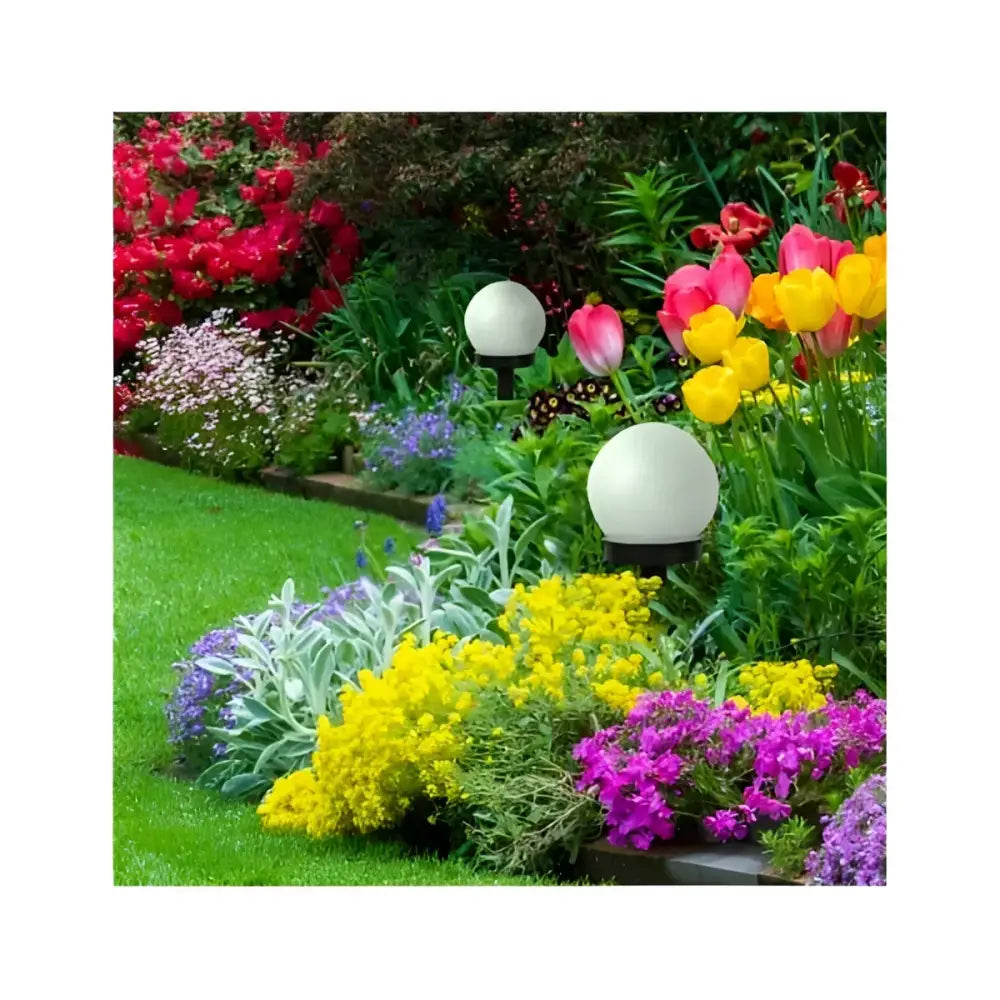 2d12e468-f2b4-467c-8962-c7dbadbd1abe_1
